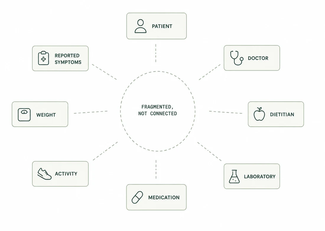 Diagram showing patient, doctor, dietitian and laboratory information held in separate systems with no shared longitudinal record.