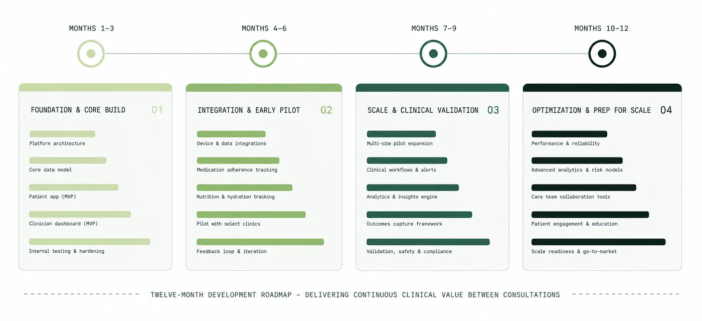 Twelve-month roadmap from architecture and workflow mapping through MVP build, controlled pilot, and validation reporting.